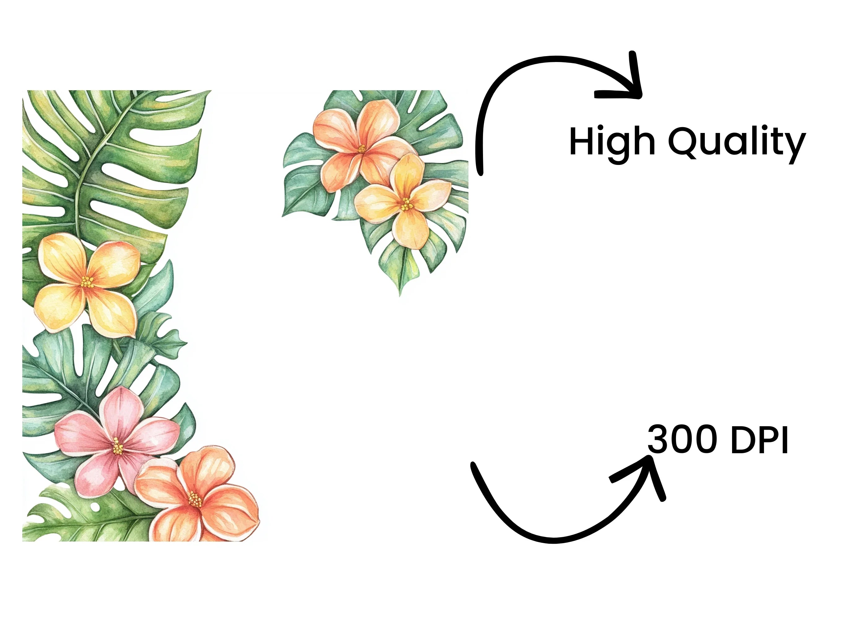 Vibrant Tropical Flowers and Leaves Clipart Bundle