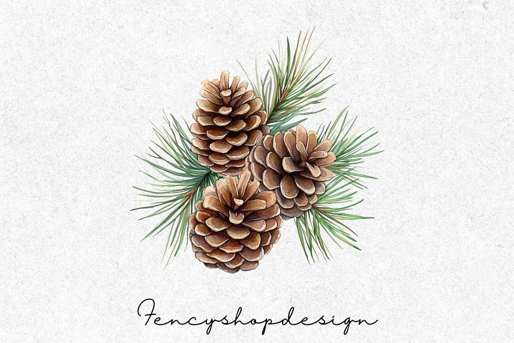 Pinecone Clipart Bundle