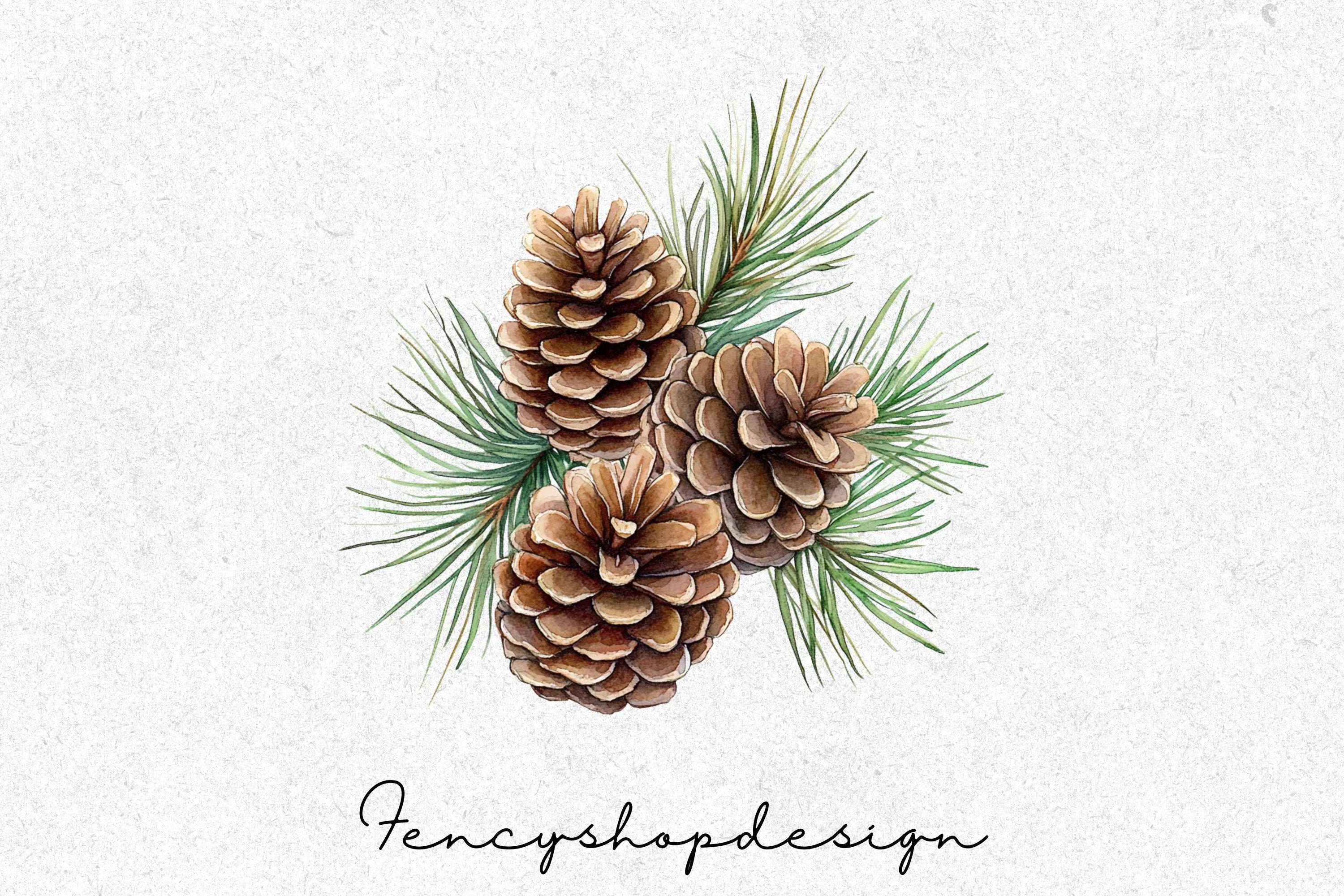Pinecone Clipart Bundle