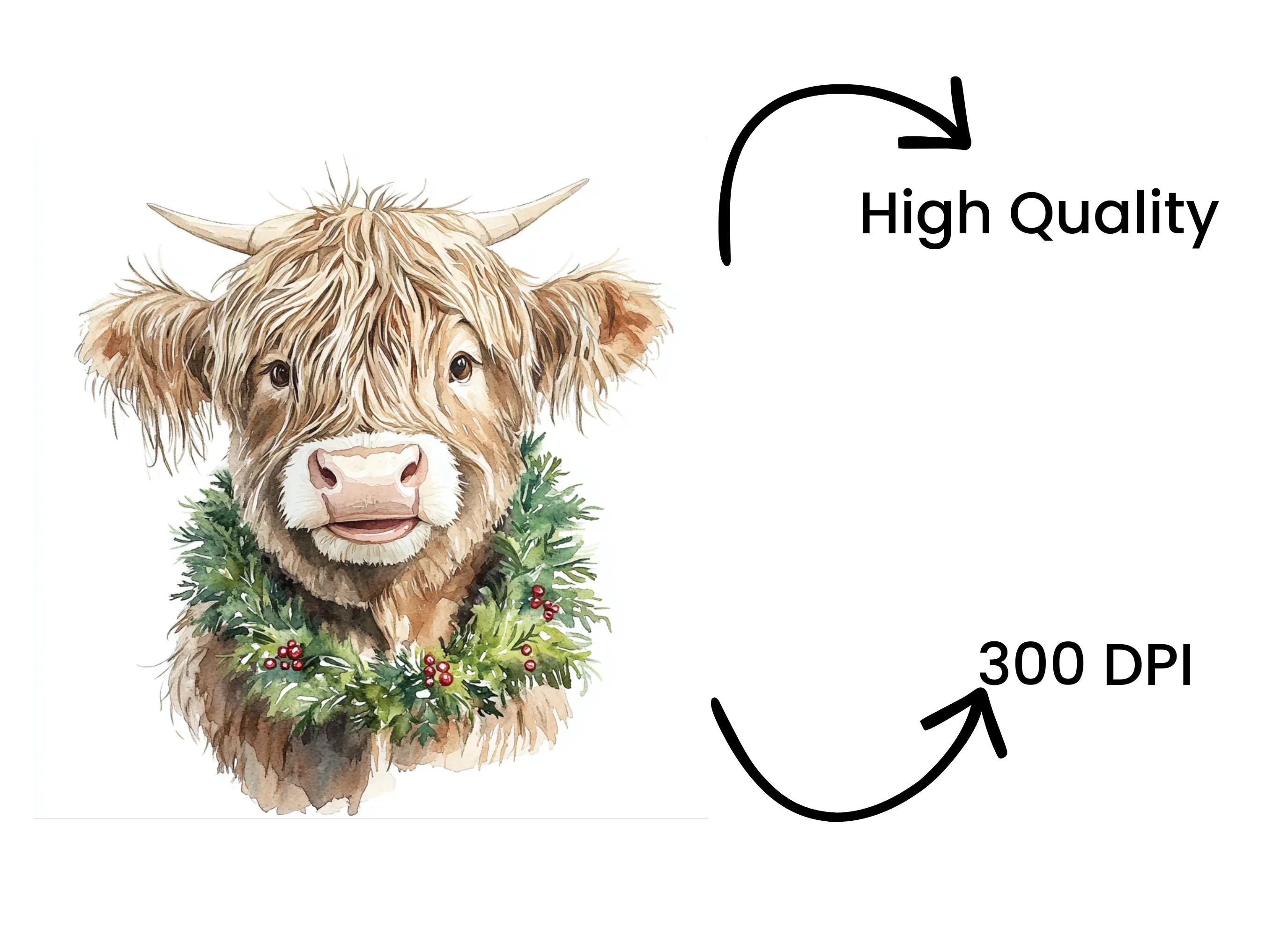 Highland Cow Christmas Wreath Clipart Bundle