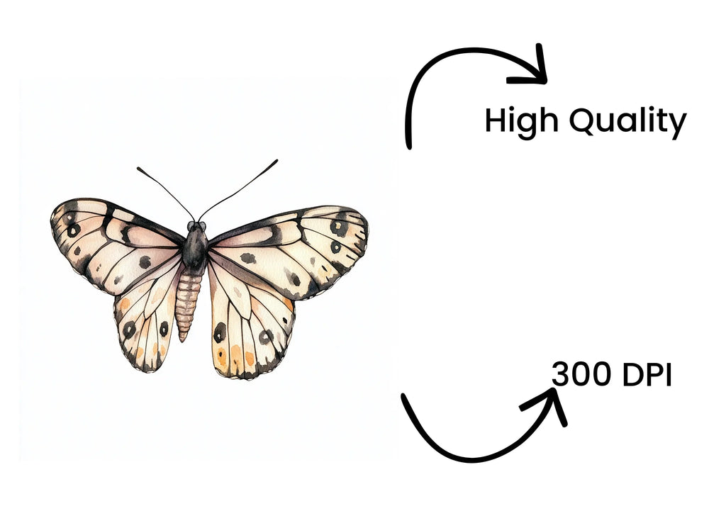 Monochromatic Butterfly Clipart Bundle
