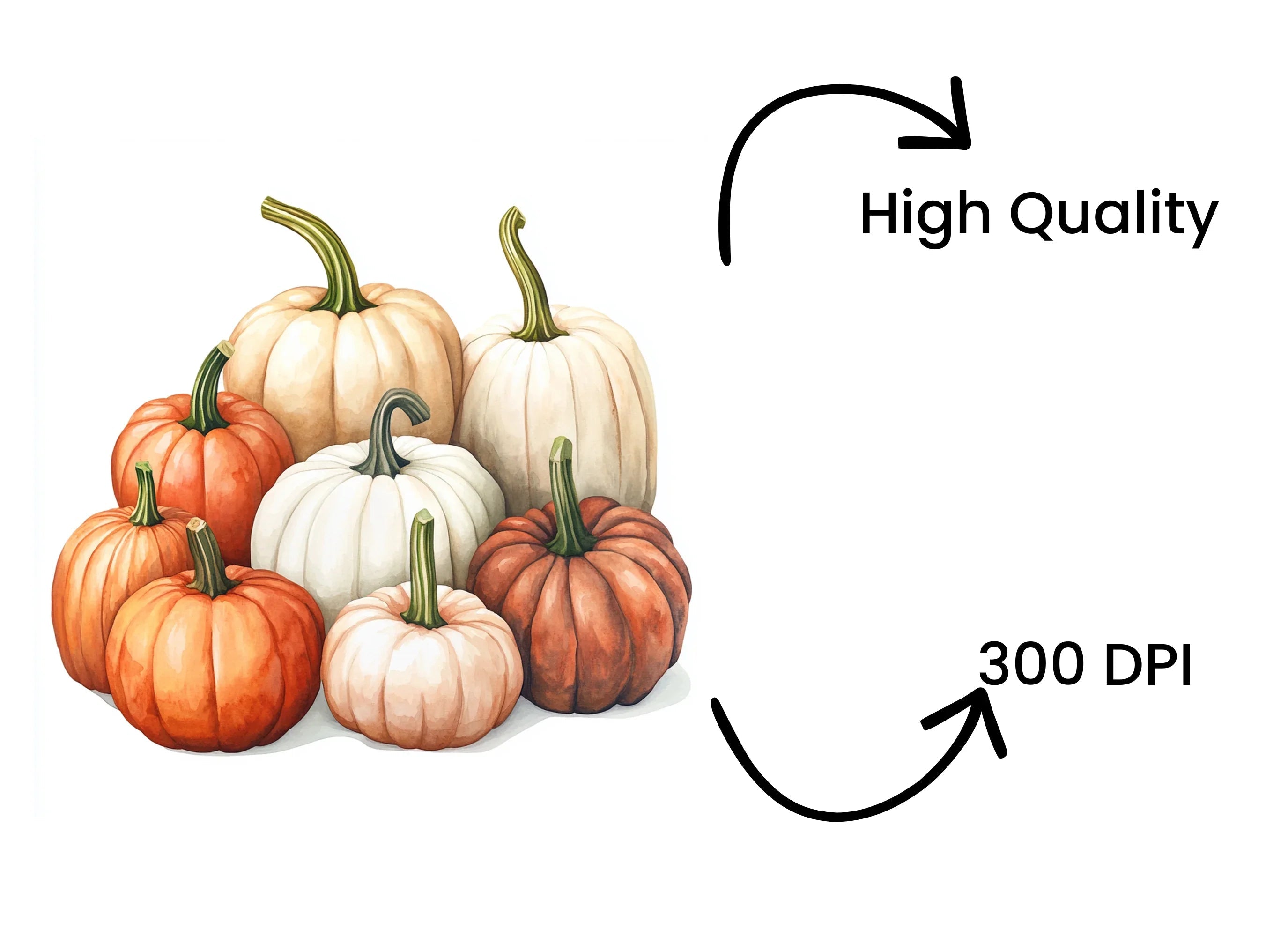 Autumn Harvest Pumpkin Clipart Bundle