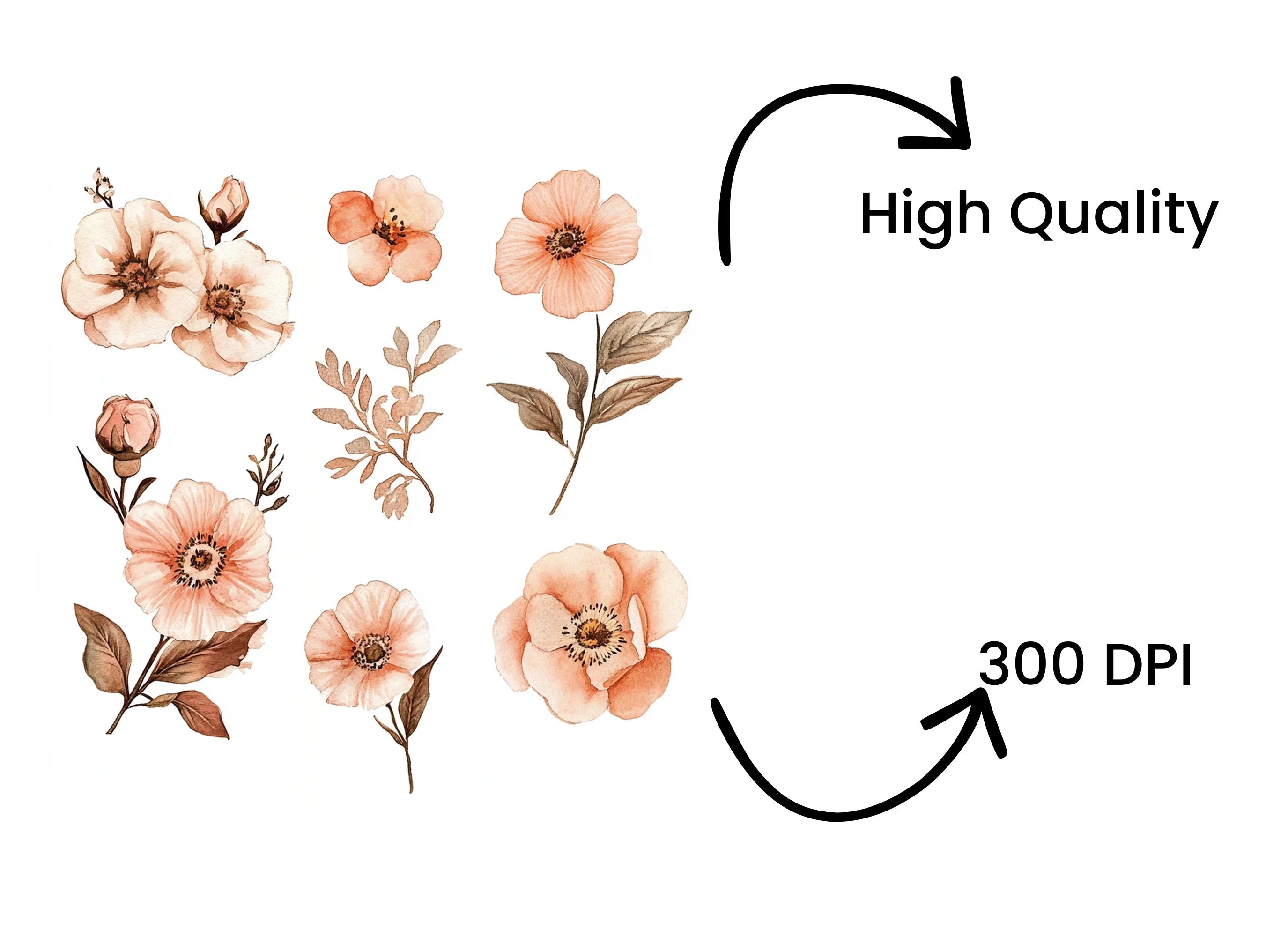 Boho Flower Clipart Bundle