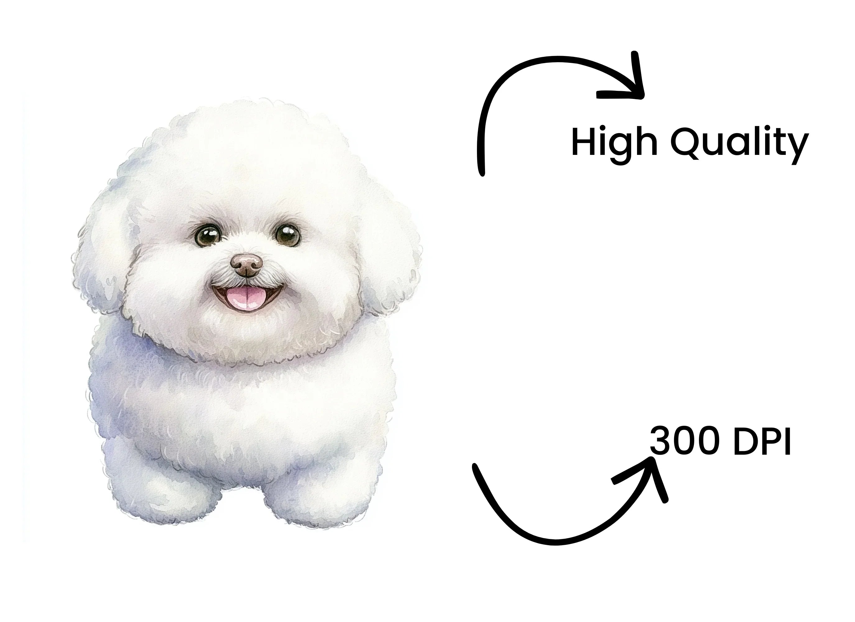 Cute Bichon Frise Puppy Clipart Bundle