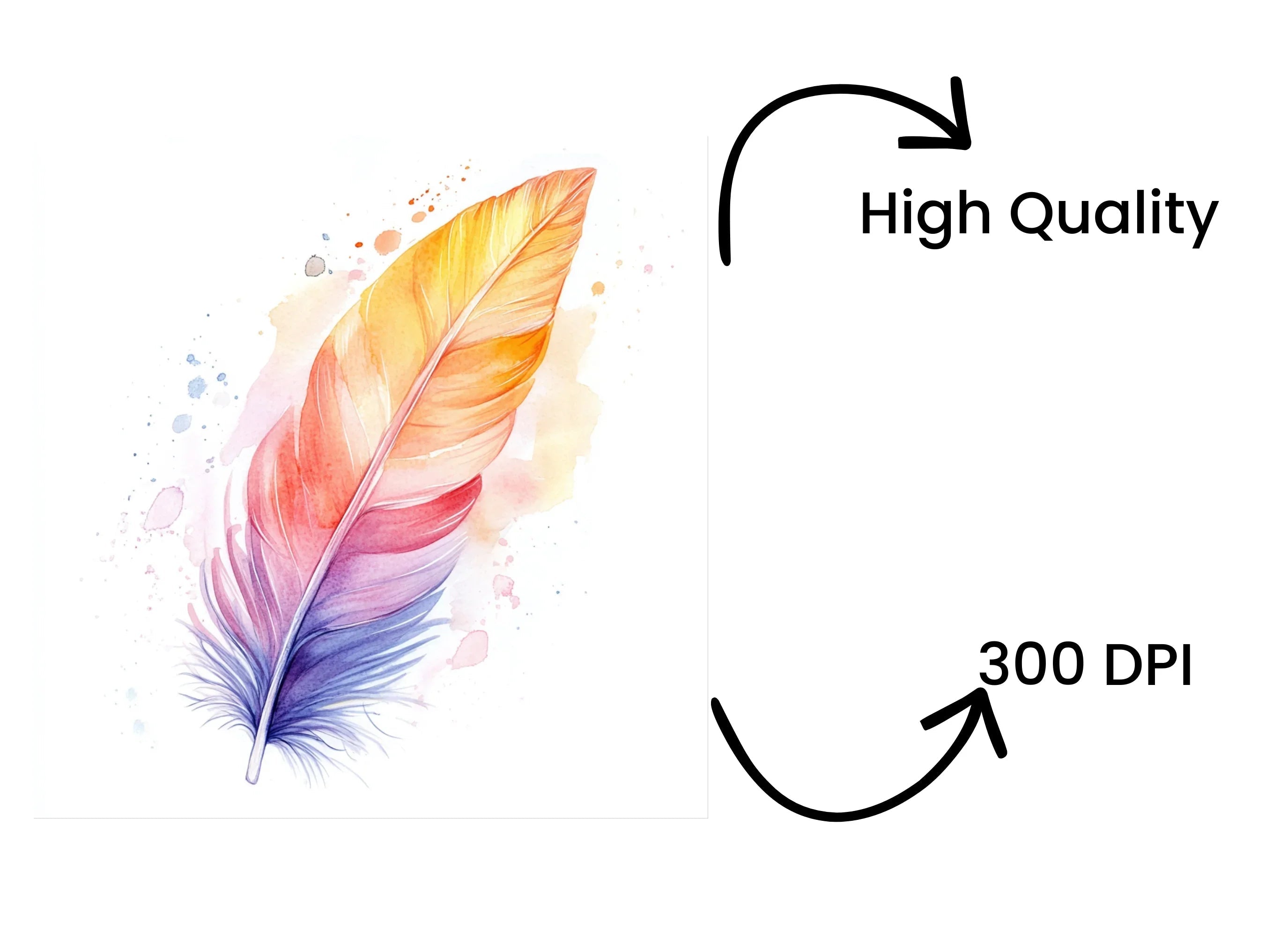 Vibrant Feather Illustrations Clipart Bundle