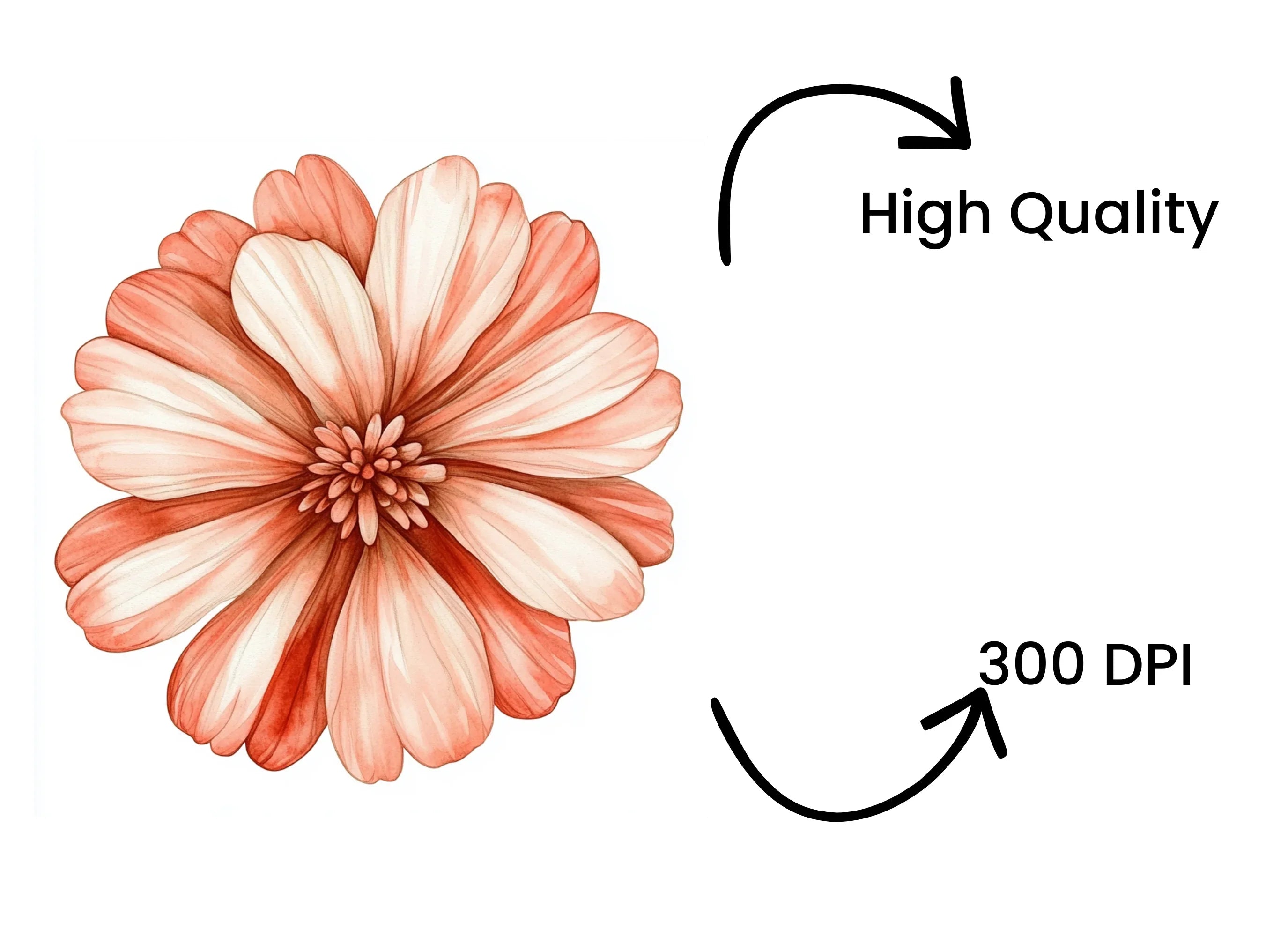 Elegant Terracotta Floral Clipart Bundle