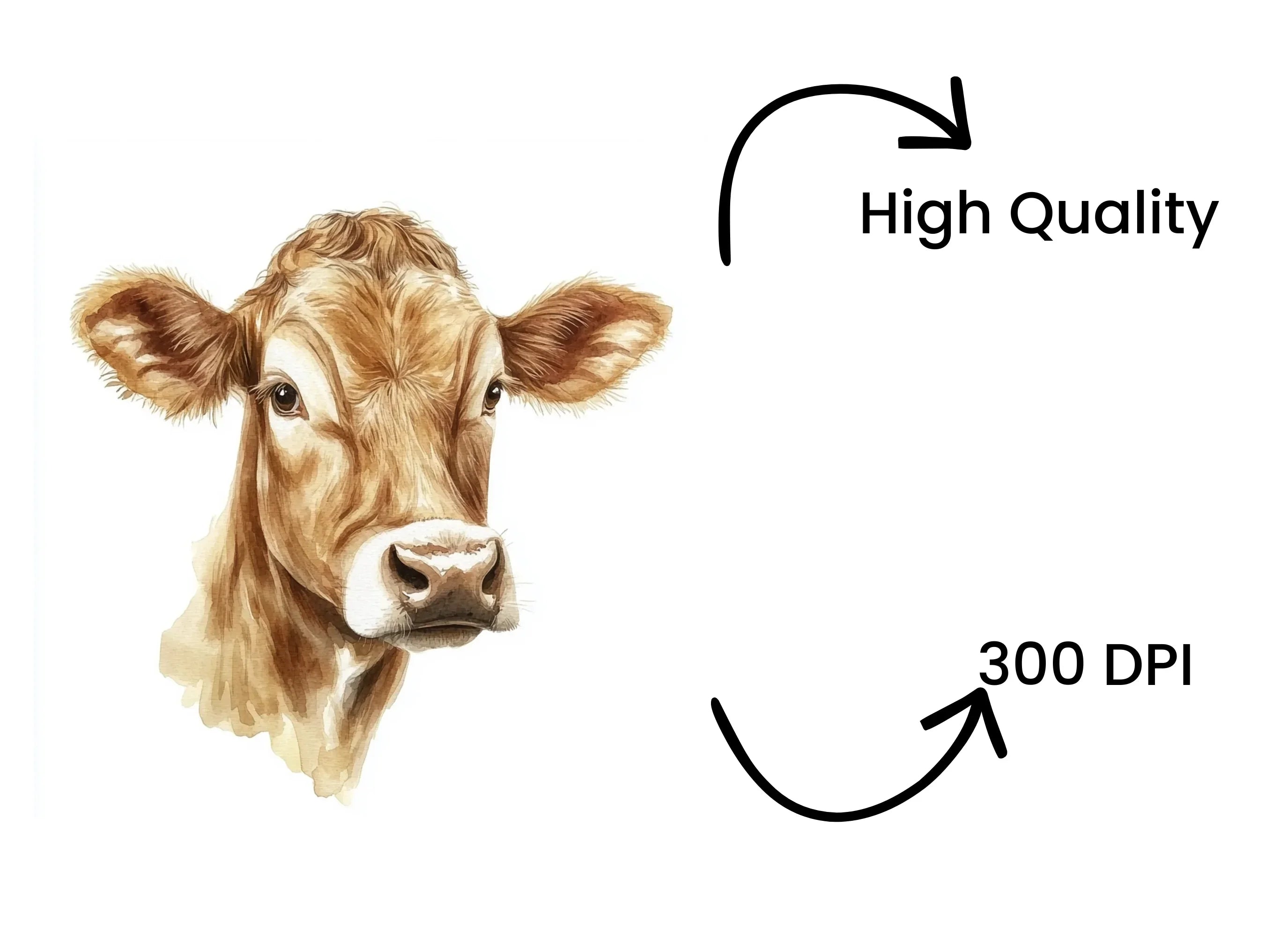 Brown Cow Head Clipart Bundle