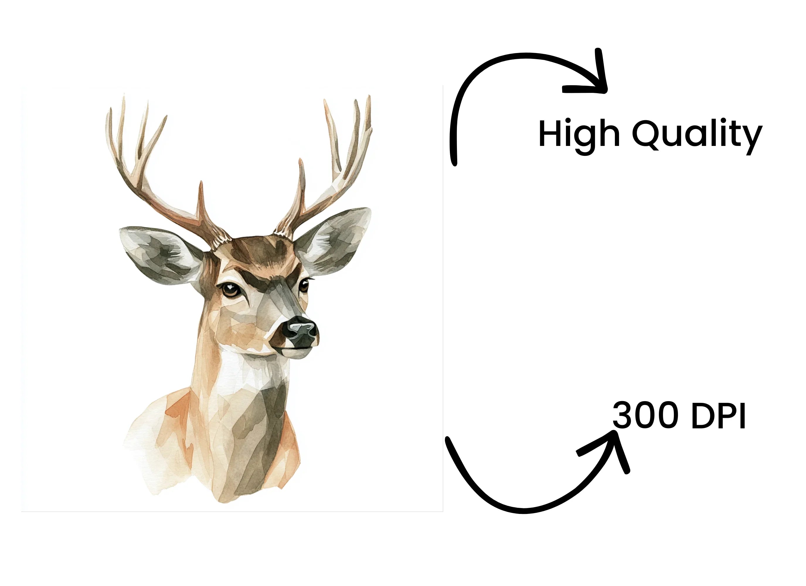 Deer Head Clipart Bundle