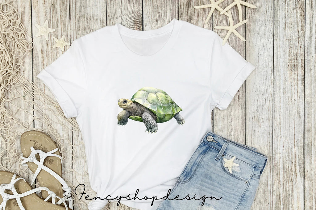 Realistic Turtle Tortoise Clipart Bundle