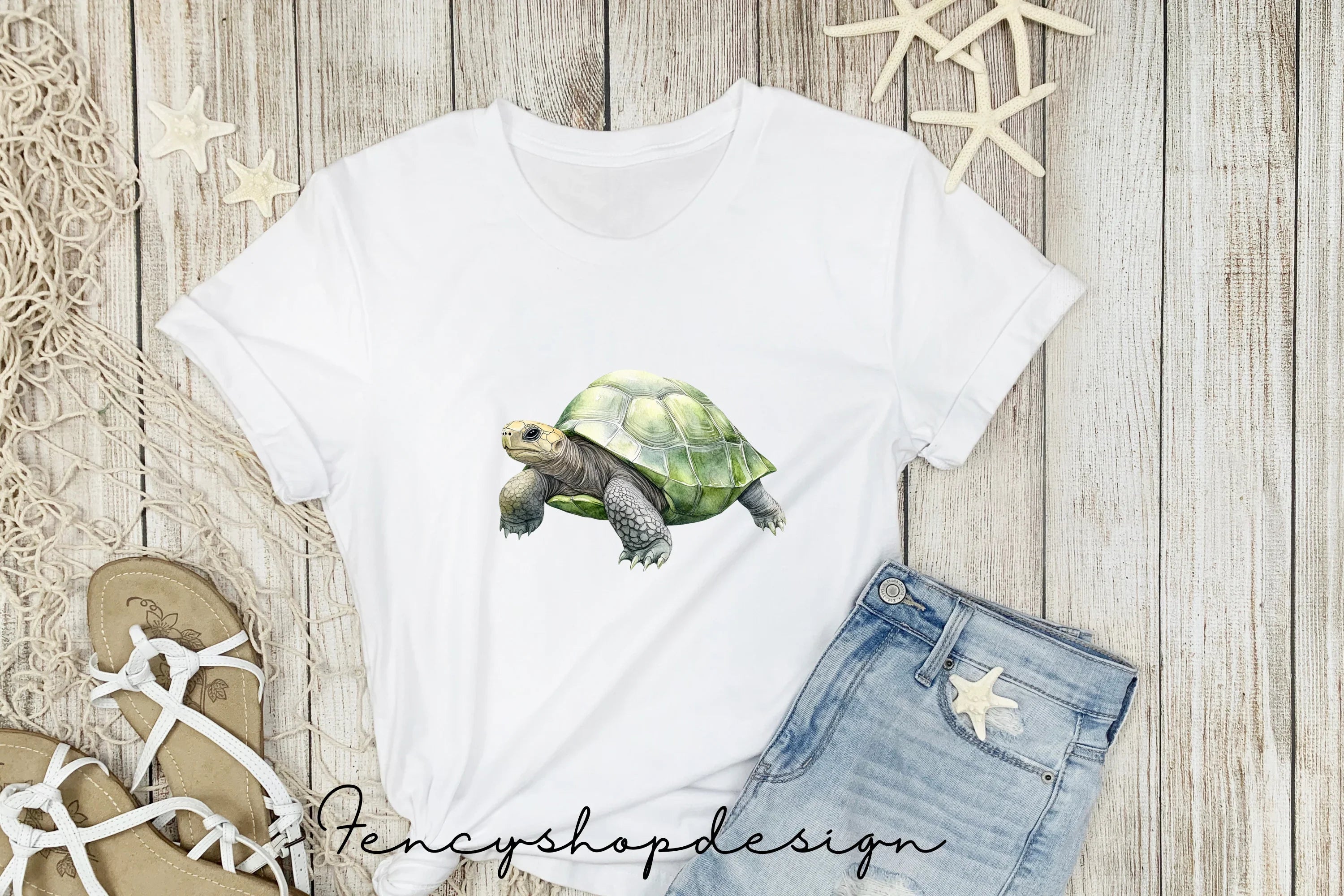 Realistic Turtle Tortoise Clipart Bundle