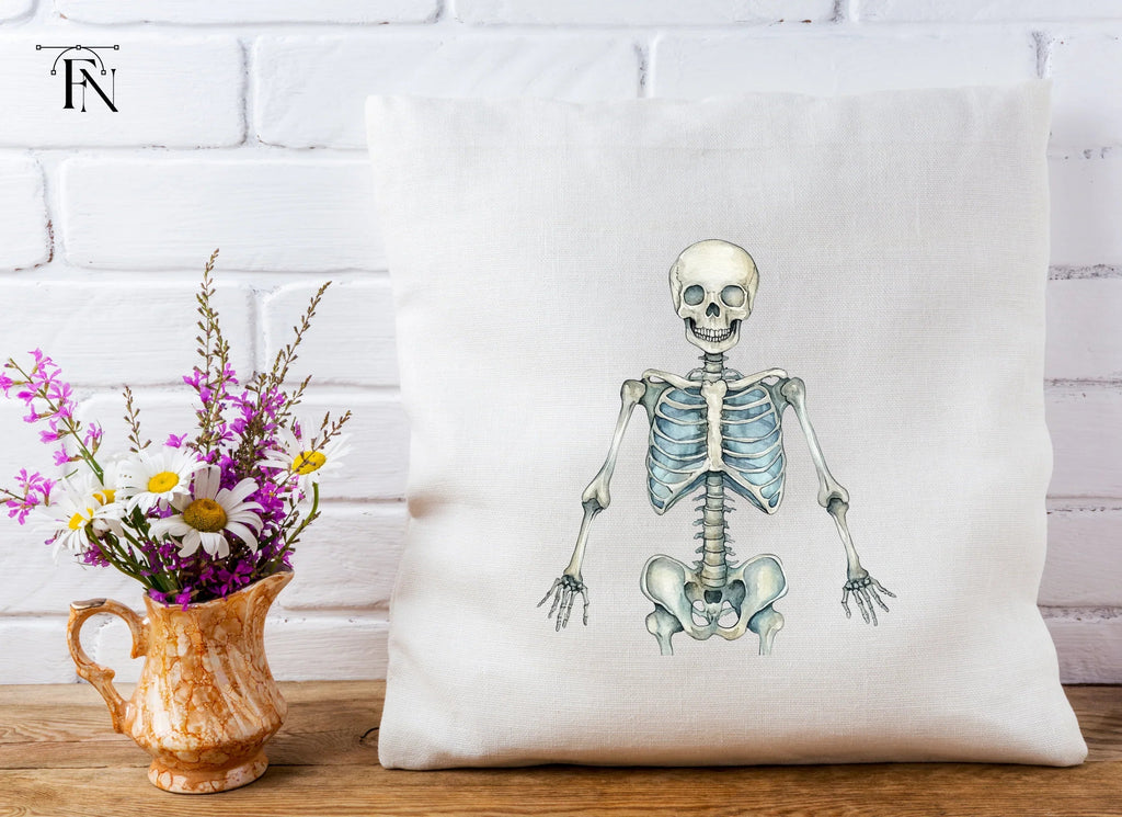 Anatomical Skeleton Graphics Clipart Bundle