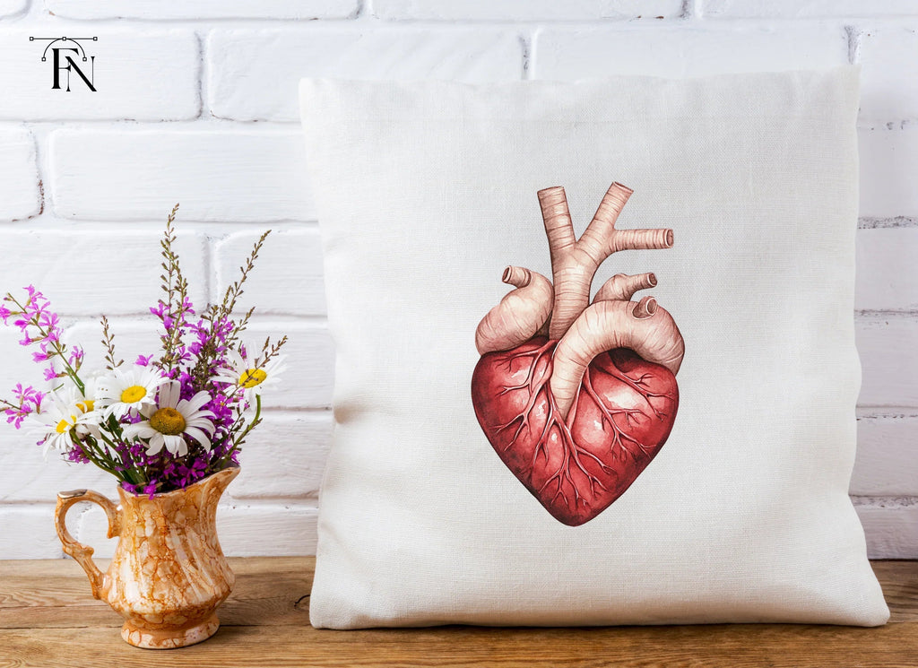 Anatomical Heart Clipart Bundle