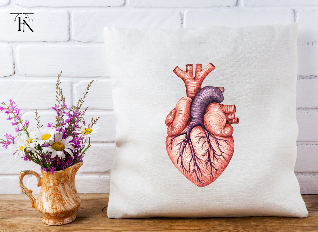 Anatomical Human Heart Clipart Bundle