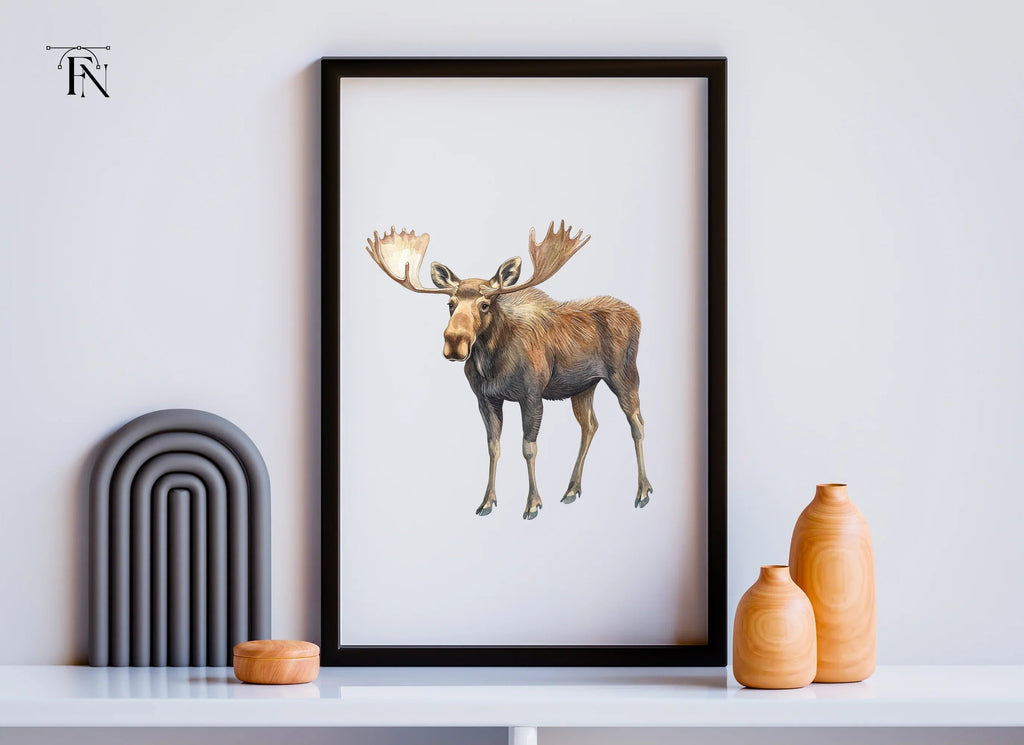 Three Moose Clipart Bundle