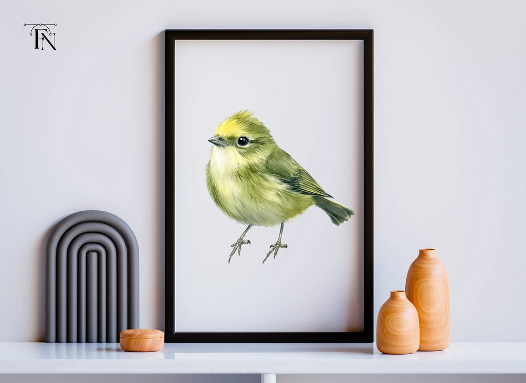 Cute Green Bird Clipart Bundle