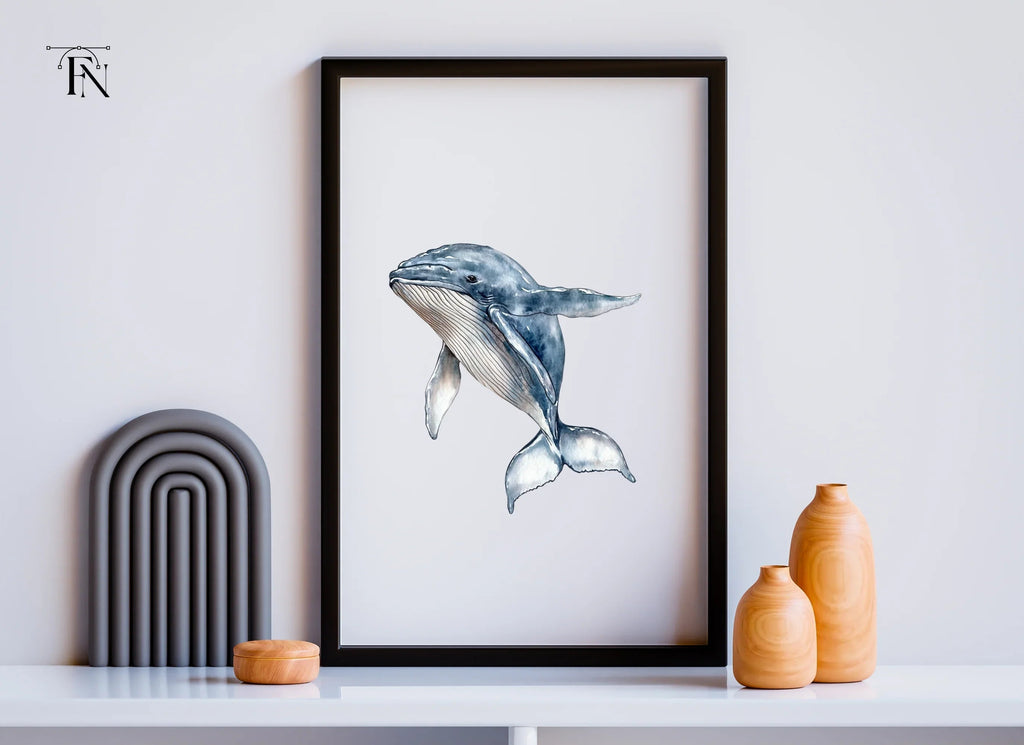 Humpback Whale Clipart Bundle