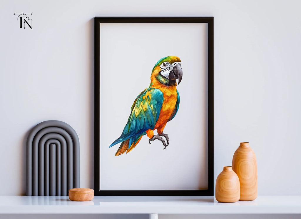 Vibrant Macaw Clipart Bundle