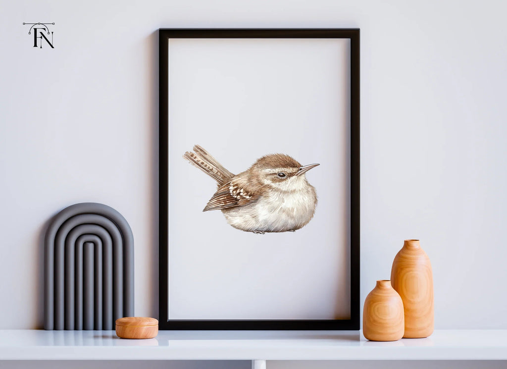 Cute Wren Bird Clipart Bundle