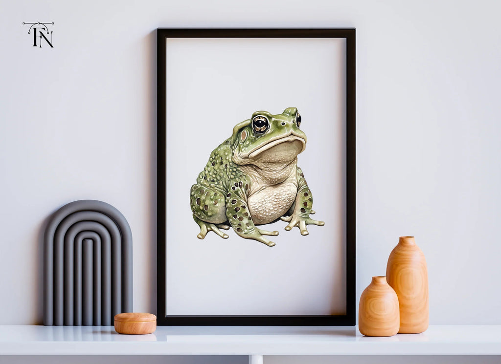 Toads Clipart Bundle