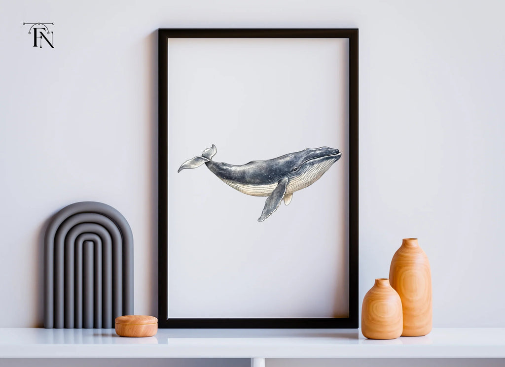 Majestic Whale Duo Clipart Bundle