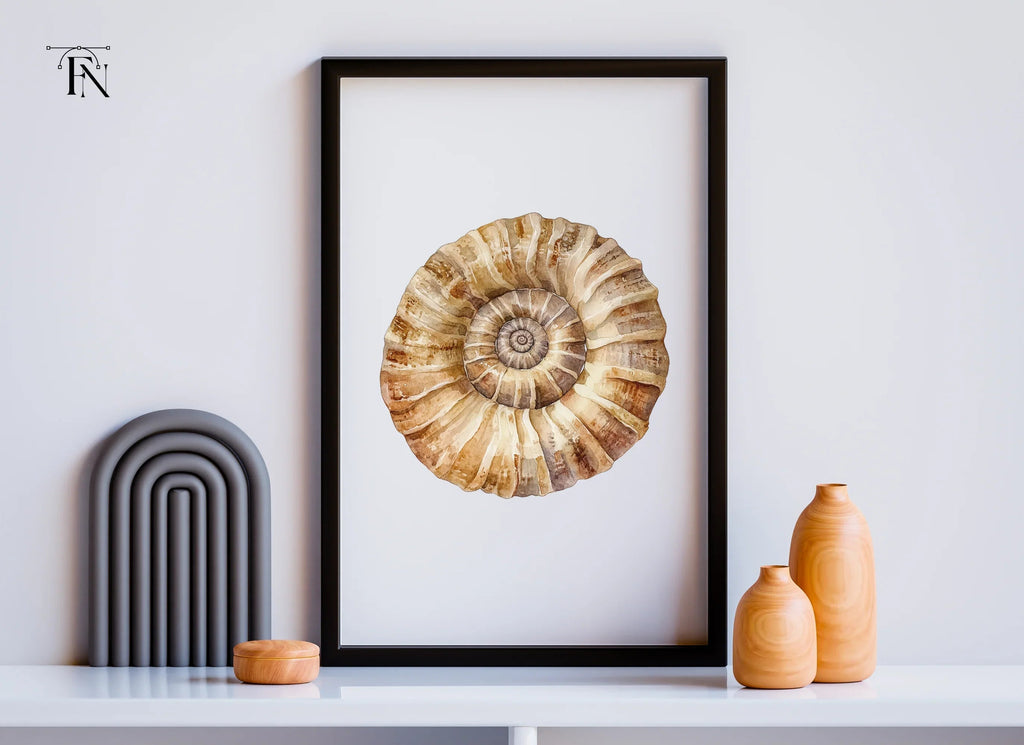 Ammonite Fossil Shell Clipart Bundle