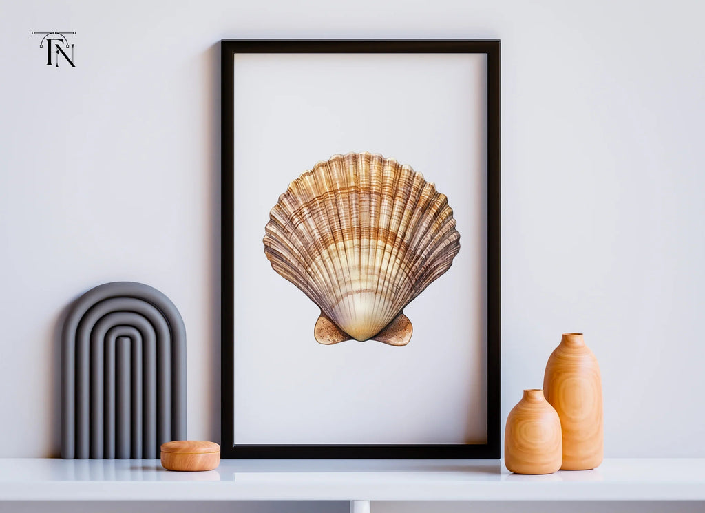 Scallop Shells Clipart Bundle