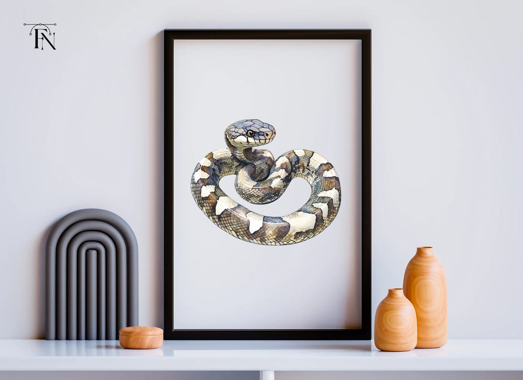 Coiled Snake Clipart Bundle