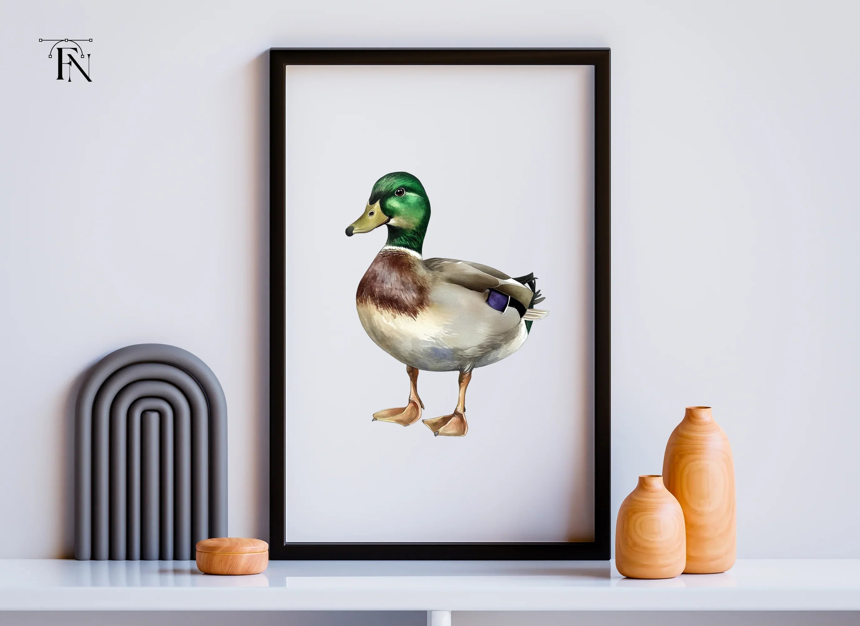 Mallard Duck Male Clipart Bundle