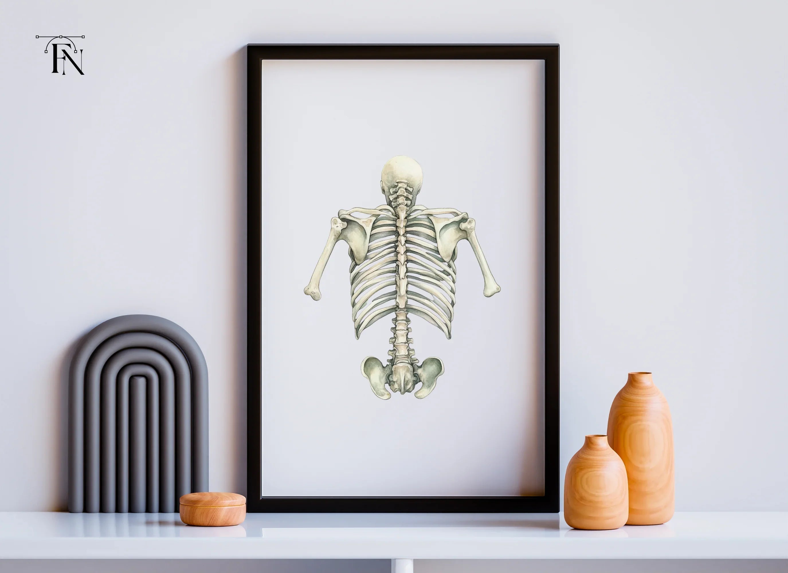 Human Torso Skeleton Back View Clipart Bundle