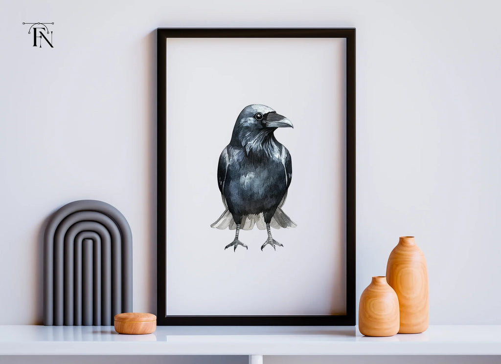 Raven Illustrations Clipart Bundle