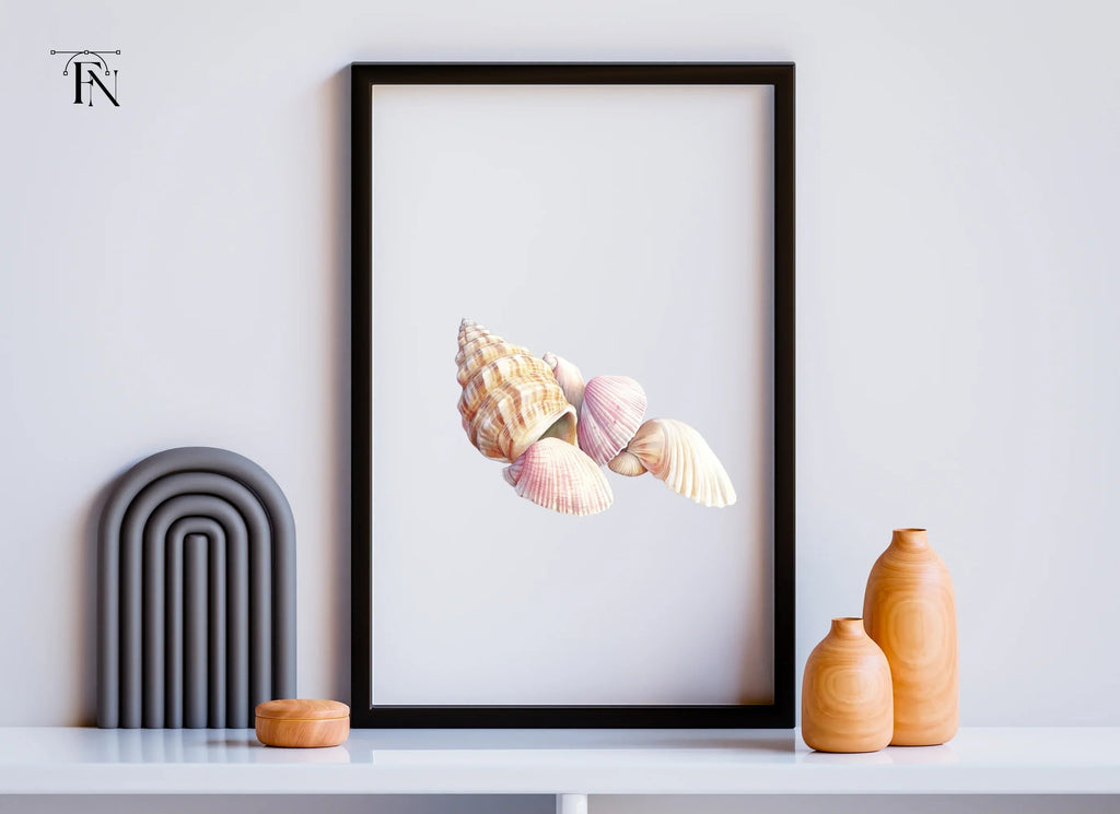 Assorted Beach Shells Clipart Bundle