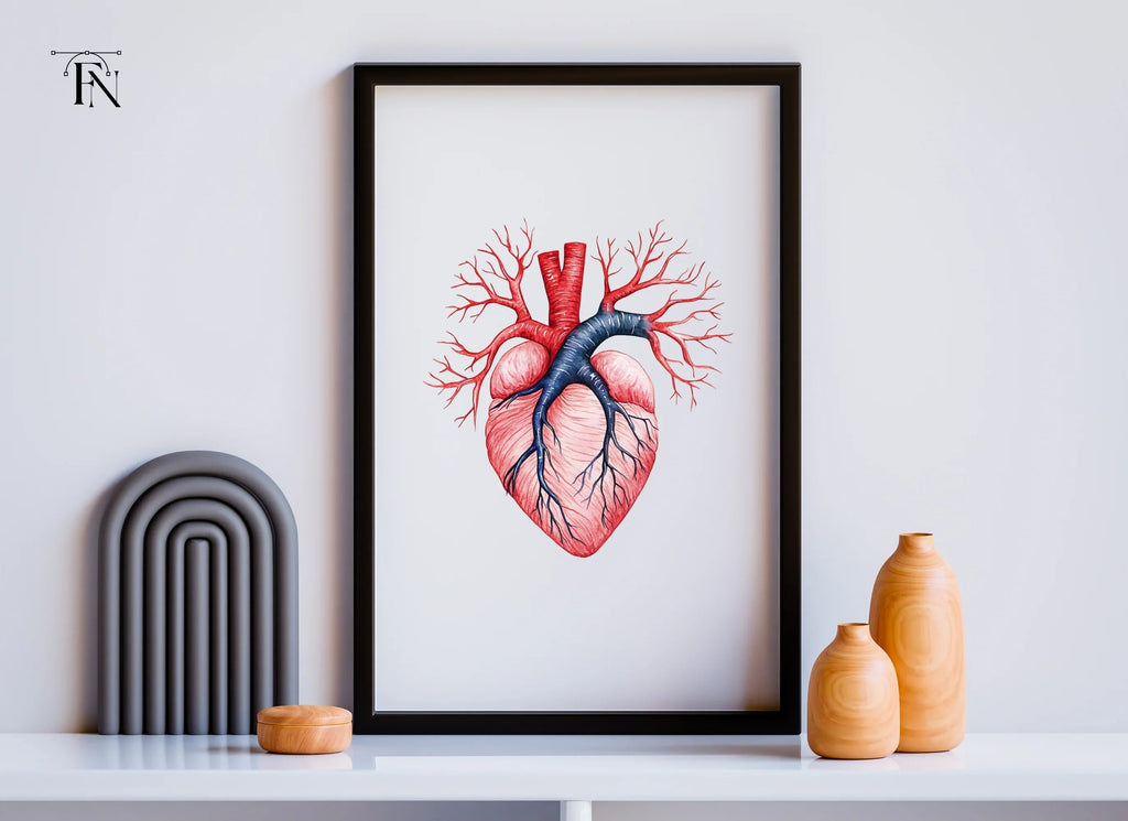 Anatomical Human Heart Clipart Bundle