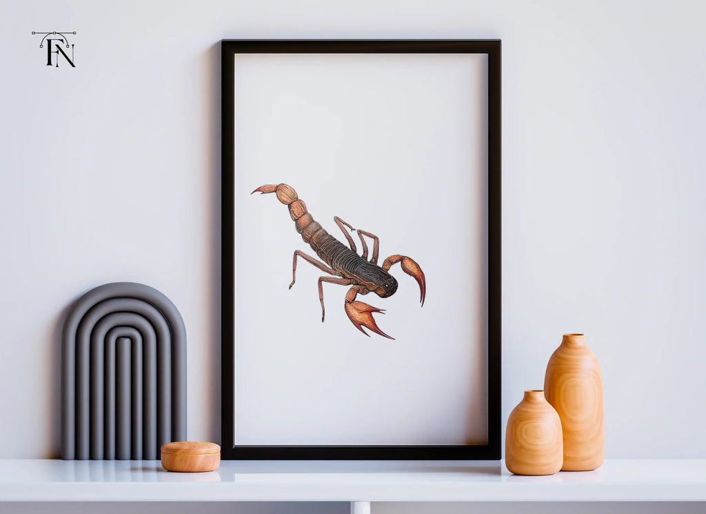 Realistic Scorpion Insect Clipart Bundle