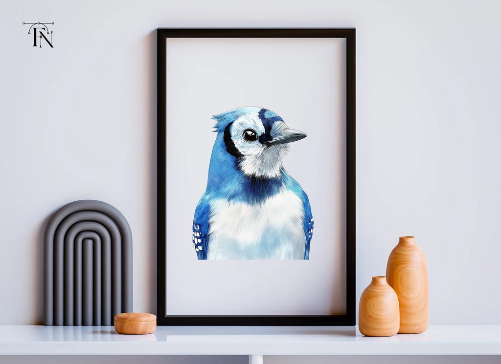 Blue Jay Bird Clipart Bundle