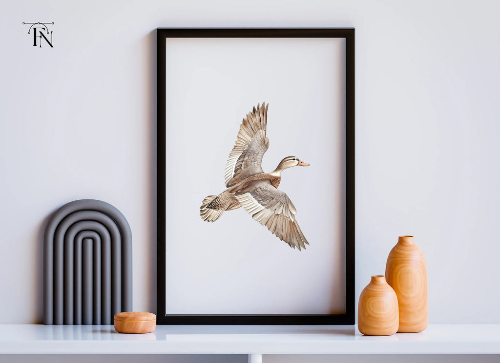 Flying Mallard Duck Clipart Bundle