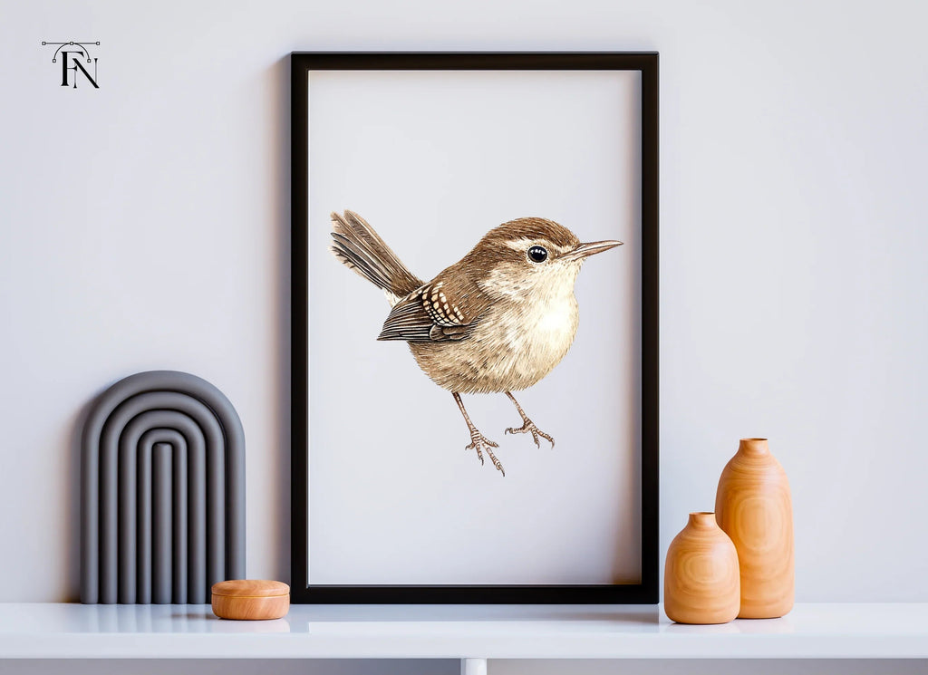Charming Brown Wren Bird Clipart Bundle