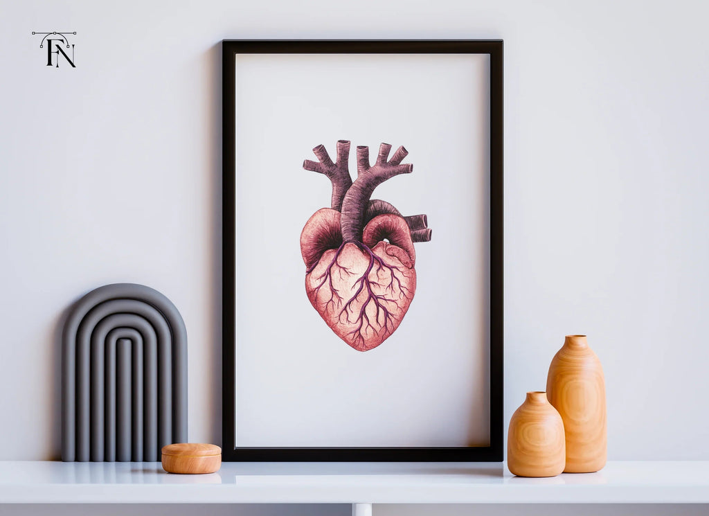 Anatomical Human Heart Clipart Bundle