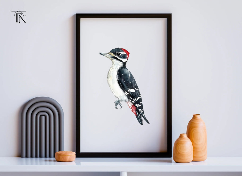 Woodpecker Clipart Bundle