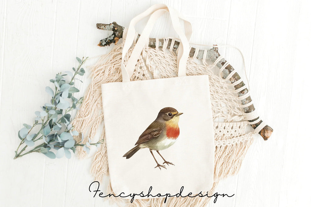 Robin Bird Clipart Bundle