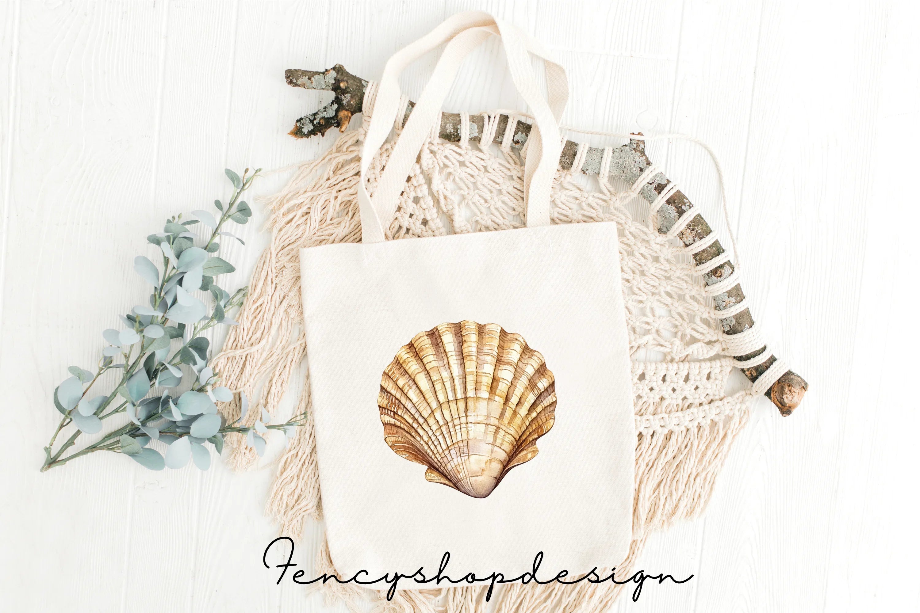 Seashell Ammonite Clipart Bundle