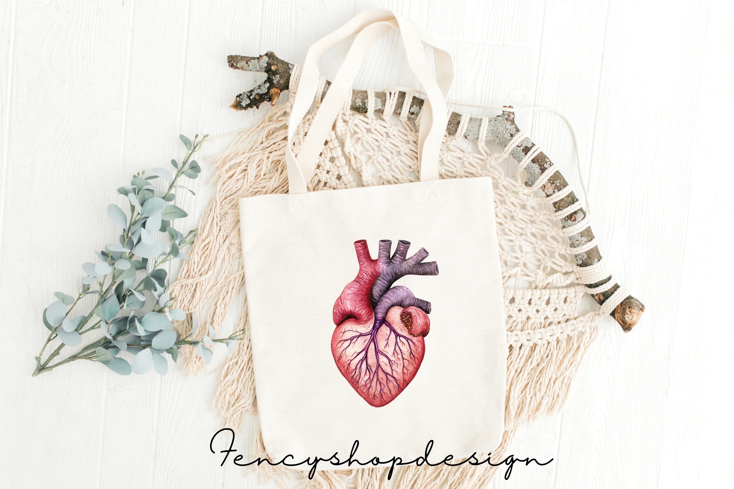 Anatomical Heart Organ Clipart Bundle