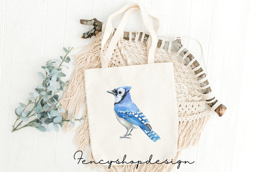 Blue Jay Bird Clipart Bundle