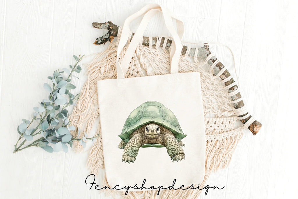 Realistic Turtle Tortoise Clipart Bundle