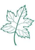 Maple Leaf Embroidery Design
