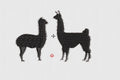 Llama Embroidery Design