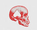 Skull Embroidery Design
