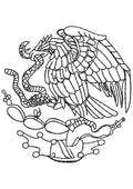 Dragon Eat Snake Embroidery Design