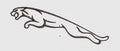 Jaguar Embroidery Design
