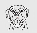 Dog Embroidery Design