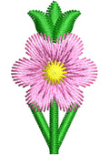 Booti Embroidery Design
